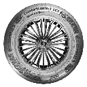 cc7-sv.webp