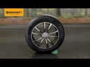 youtube - [Video]